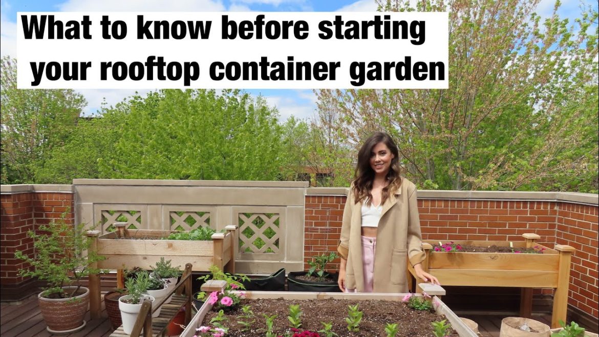 What To Know Before Starting Your Rooftop Container Garden | Chicago Gardener