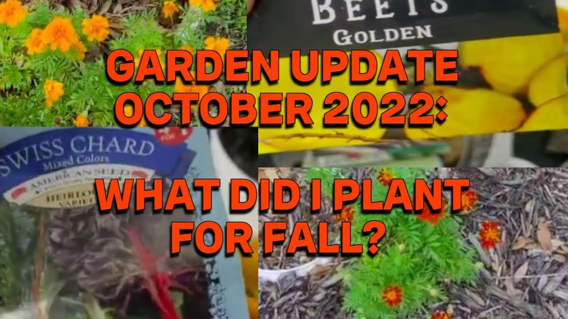 The Latest OCTOBER 2022 ZONE 9A FALL GARDEN UPDATE!