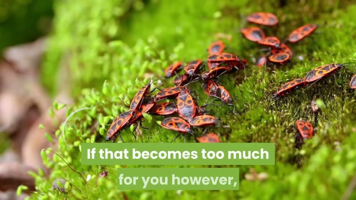 organic gardening supplies