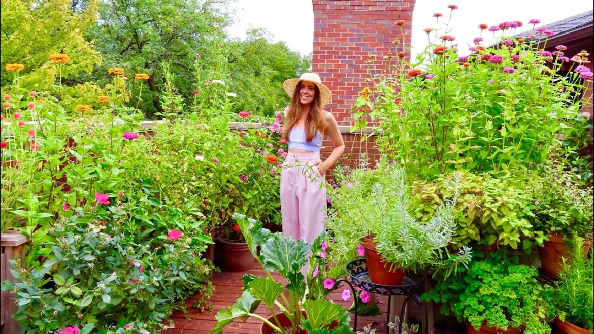 September Container Garden Tour | Rooftop Balcony Garden