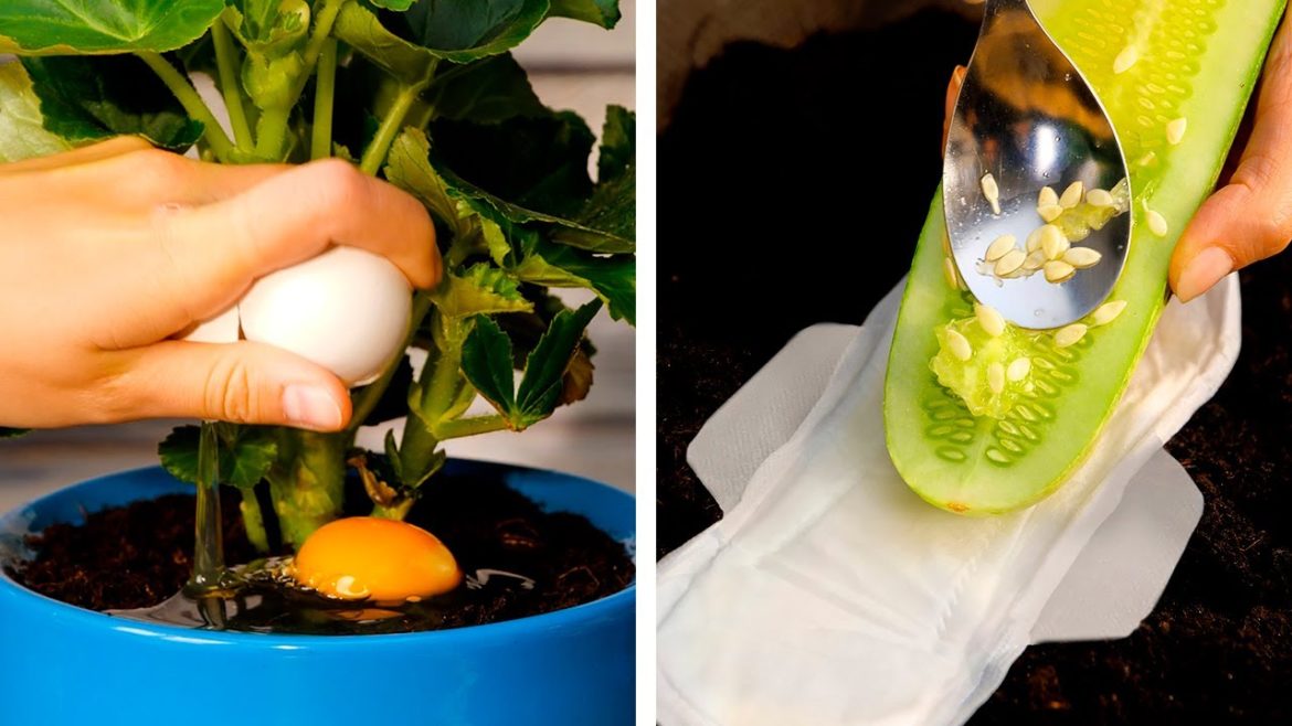 Smart gardening tips and hacks to grow anything anywhere! Smart gardening tips and hacks to grow anything anywhere!