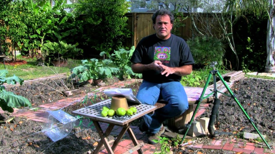 Preparing for Vegetable Gardening # 133