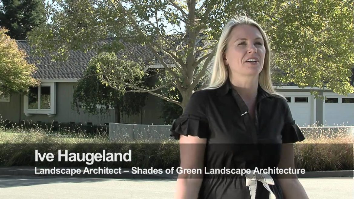 Front Yard Landscape Design