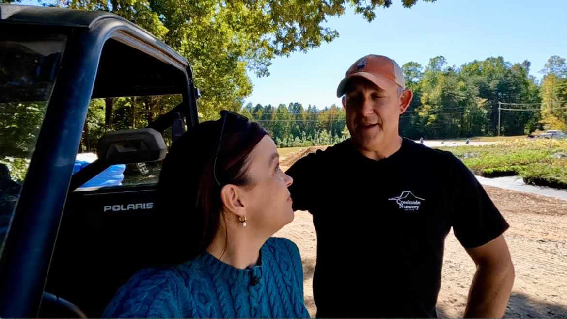 New Project Update: Here's What We're Up To | Gardening with Creekside