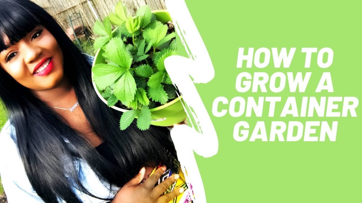 How To Start A Vegetable Garden – Container Garden 101 – Happy Mother’s Day – Black Girl Gardening How To Start A Vegetable Garden - Container Garden 101 - Happy Mother’s Day - Black Girl Gardening
