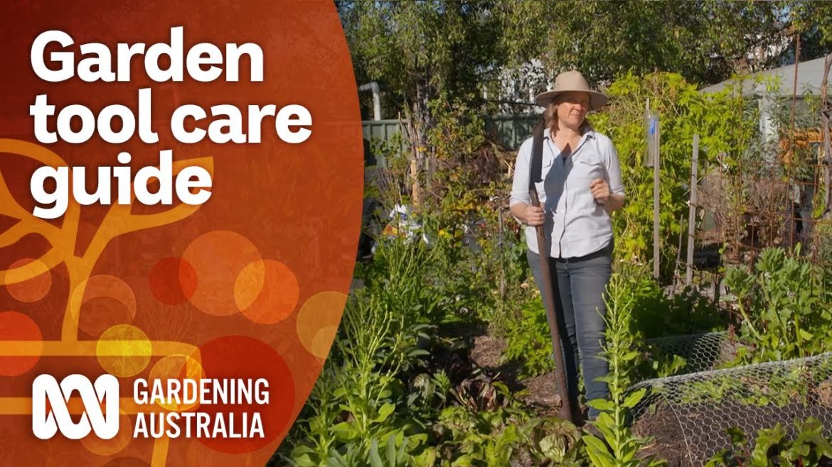 Tips for storing and caring for your gardening tools | Gardening 101 | Gardening Australia Tips for storing and caring for your gardening tools | Gardening 101 | Gardening Australia