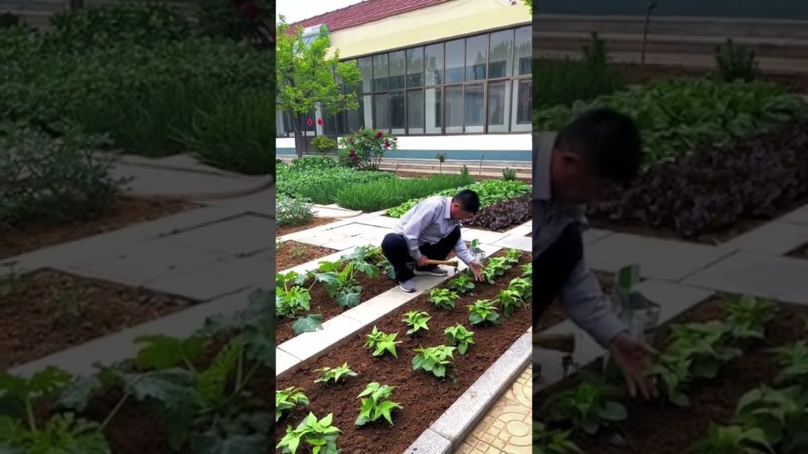 Tips for Growing Vegetables