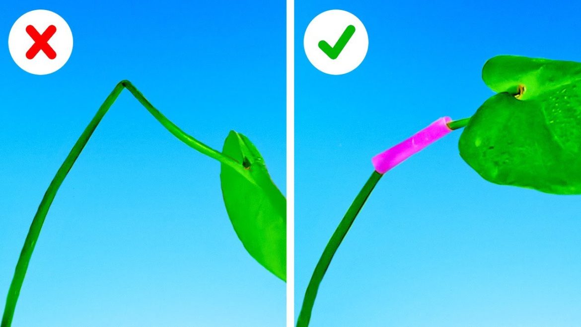 Gardening Tips And Ideas That Actually Work