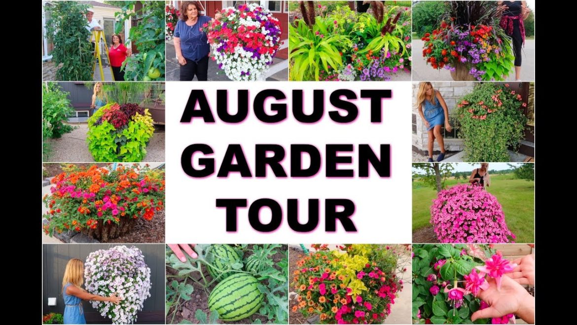 Garden Tour 2018 | Casey & the Homestead Growers | Container Gardening Ideas