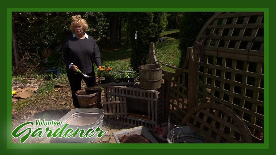 Farm for Four Container Garden | Volunteer Gardener Farm for Four Container Garden | Volunteer Gardener