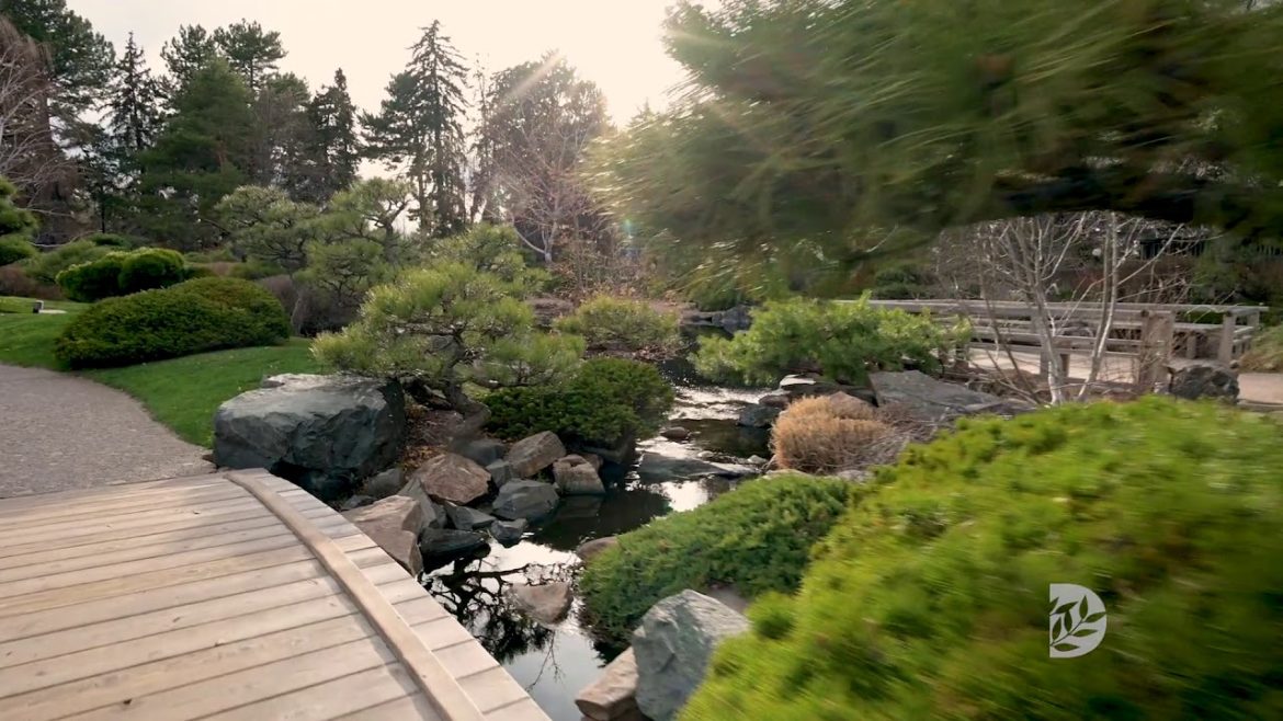 Virtual Tour of Shofu en Japanese Garden