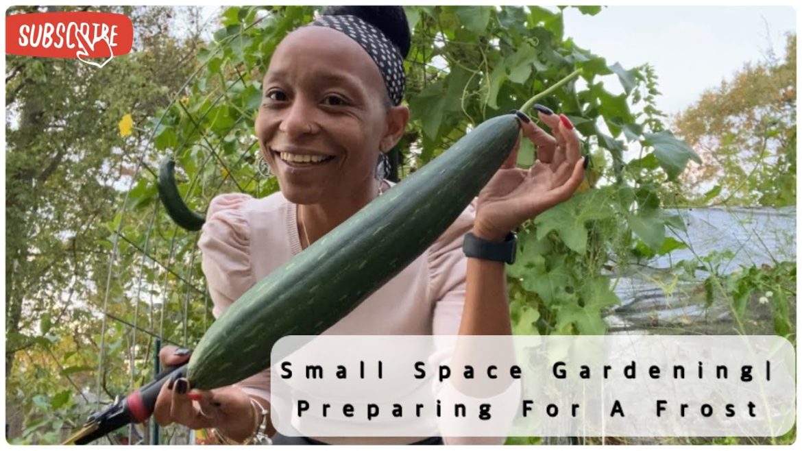 Urban Homestead Living | It’s Way Too Early | I’ve Never Seen This Before