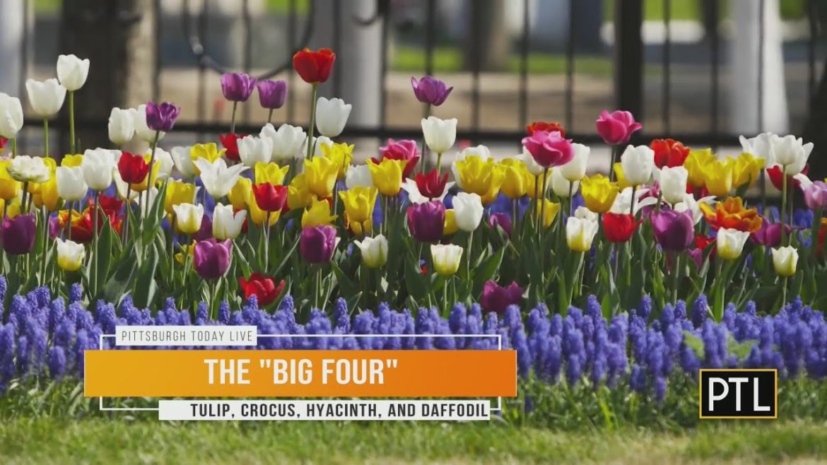 Doug Oster's fall garden tips are really preparation for springtime