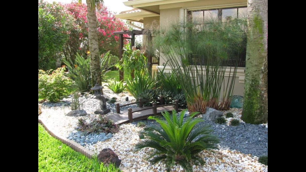 Modern Cactus landscaping