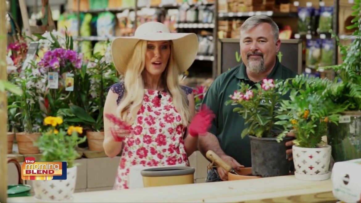 Orchard Supply Hardware – Gardening in Southwest Florida