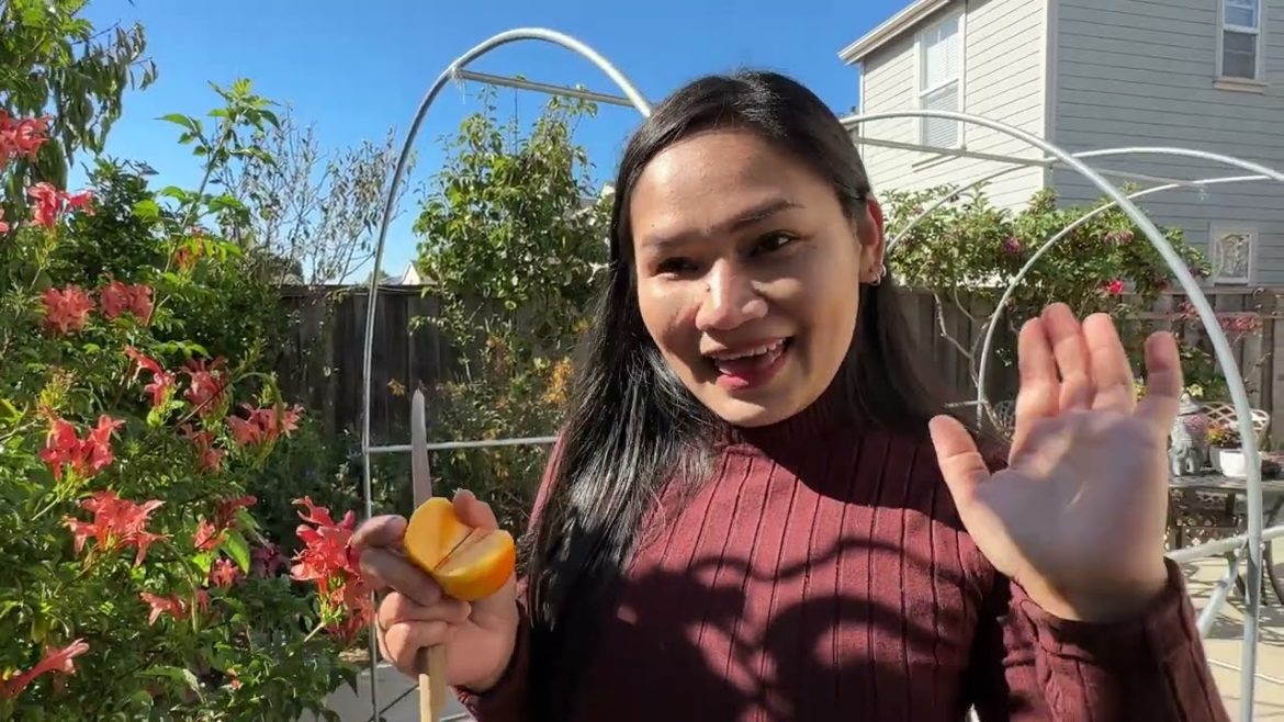 Passion Fruit Backyard Garden 🪴