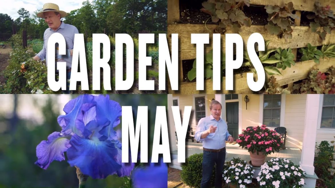 May Garden Tips and Projects: P. Allen Smith (2019) May Garden Tips and Projects: P. Allen Smith (2019)
