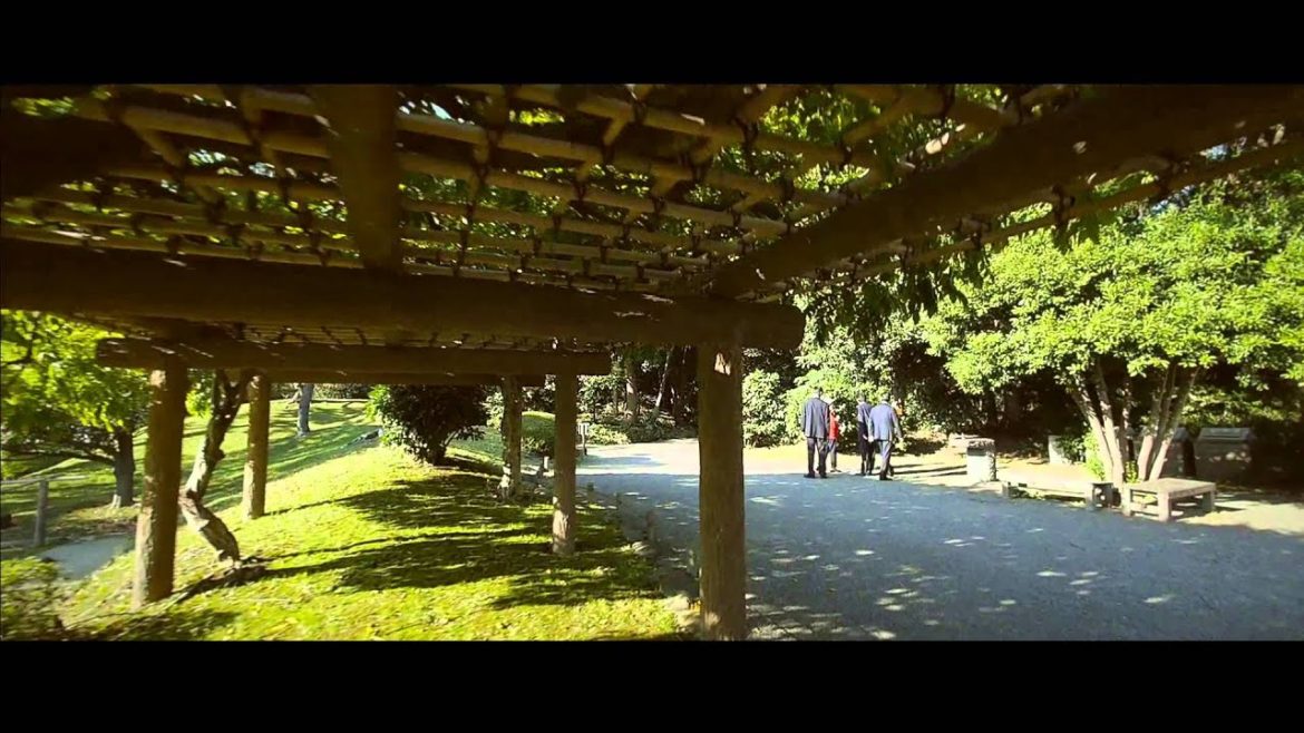 Steadicam in Japanese Garden - 浜離宮