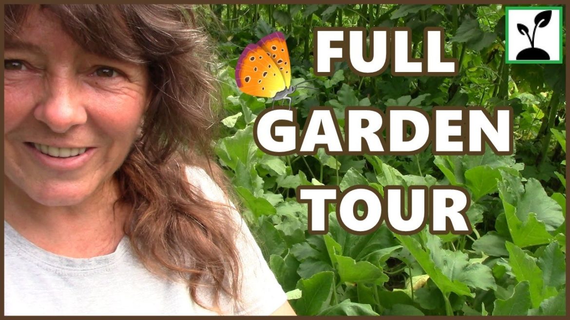 Gardening Update !  Full Tour Of The Raised Bed ~ Bucket  ~ And Container Garden !!!