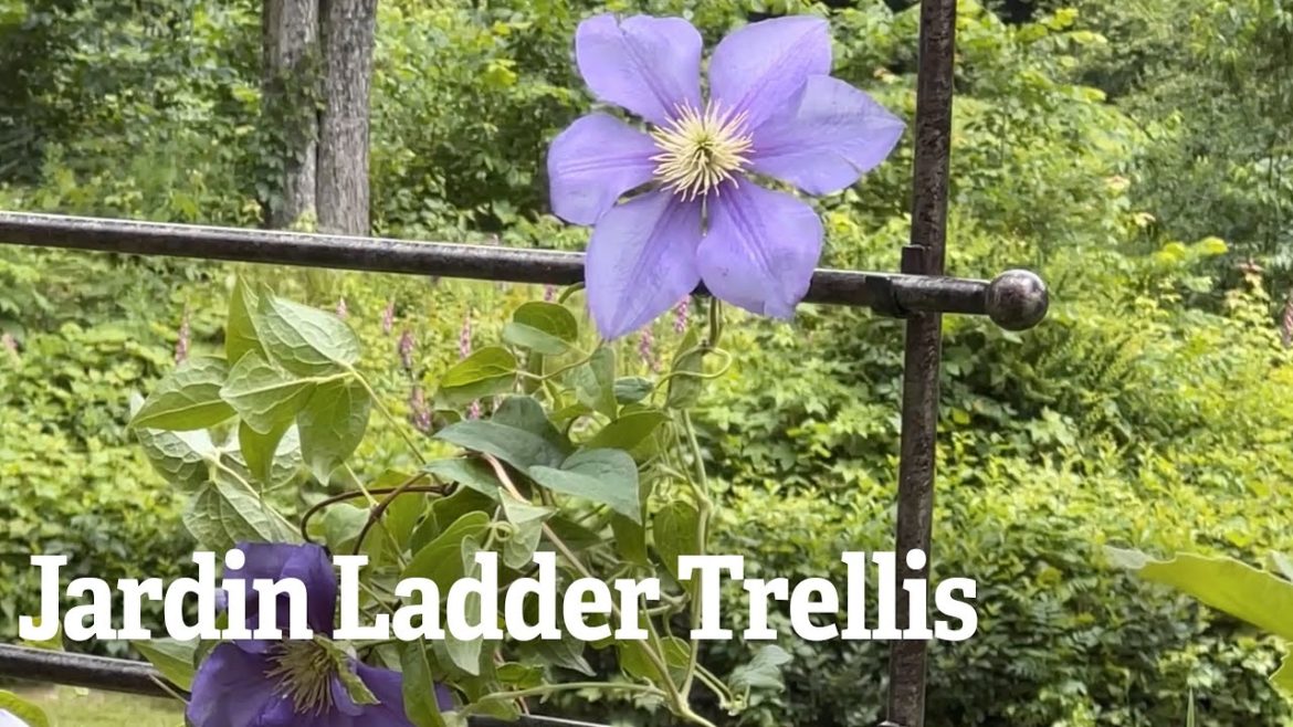 A Closer Look At The Jardin Ladder Trellis