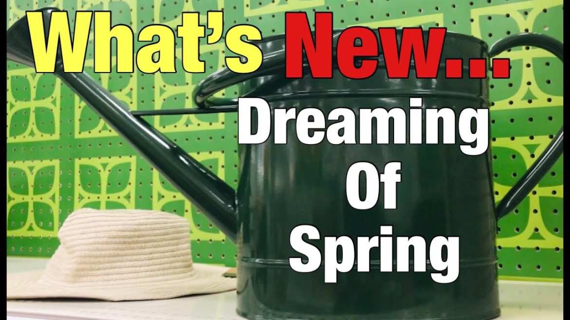 What’s NEW @ Tarjei | Spring Gardening Supplies | E7 #shopping #clausenworld