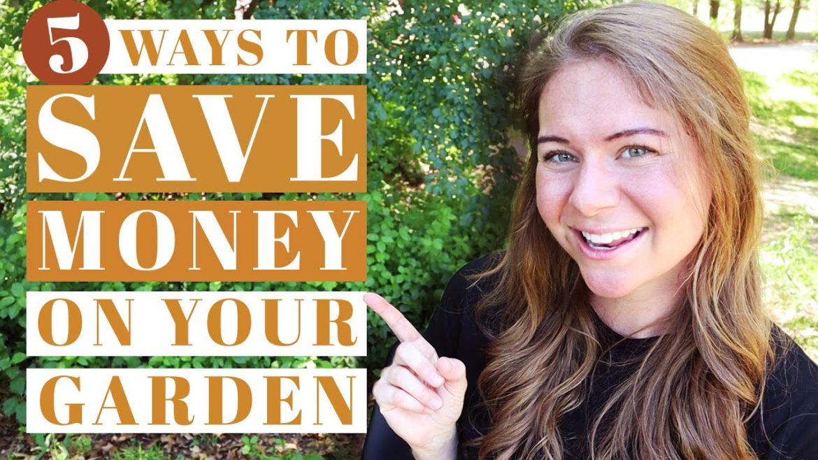 Gardening The AFFORDABLE Way | 5+ Money Saving Garden Tips | Grow Your Own Food & SAVE On Groceries