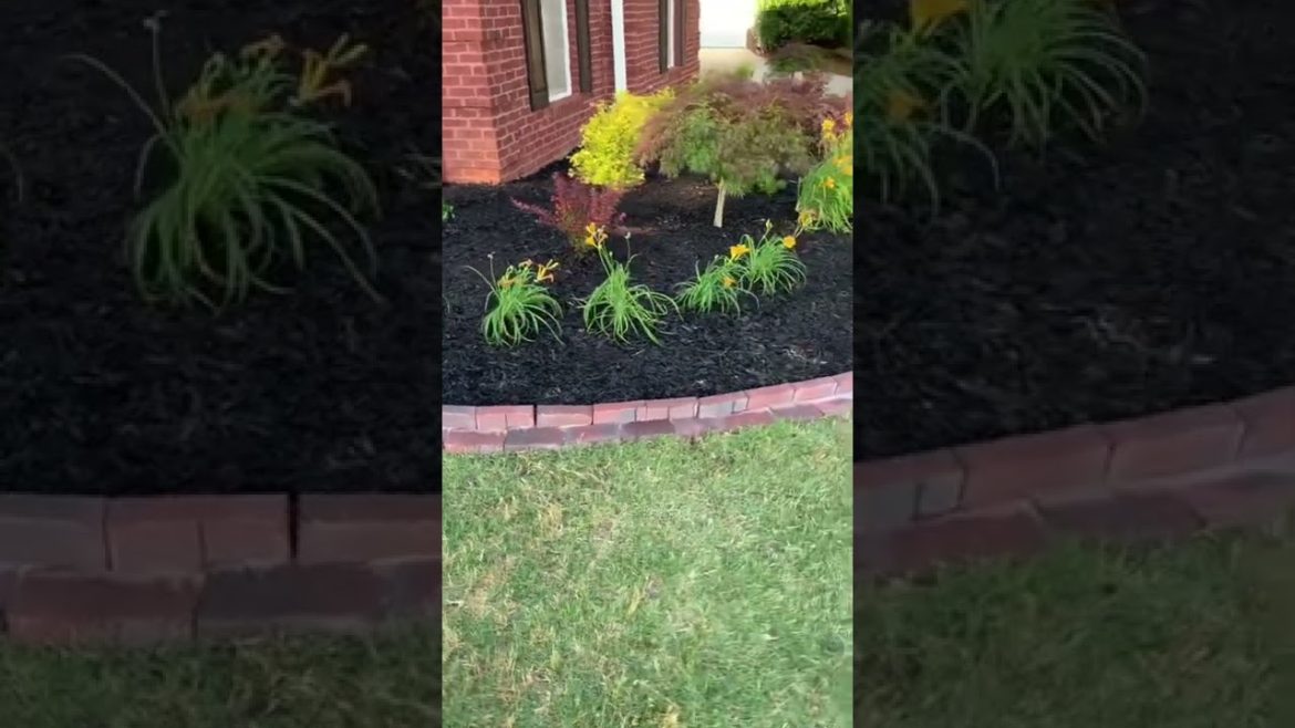 Atlanta Best Gardens | Front Yard Landscape and Garden Ideas and Inspiration