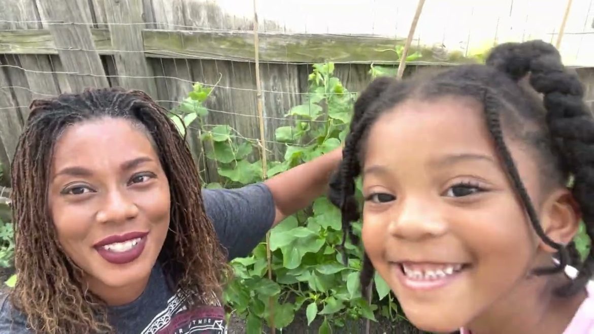 June Raised Bed & Container Garden Update Gardening At Home Pepper, Watermelon, Squash Tomato Plants June Raised Bed & Container Garden Update Gardening At Home Pepper, Watermelon, Squash Tomato Plants