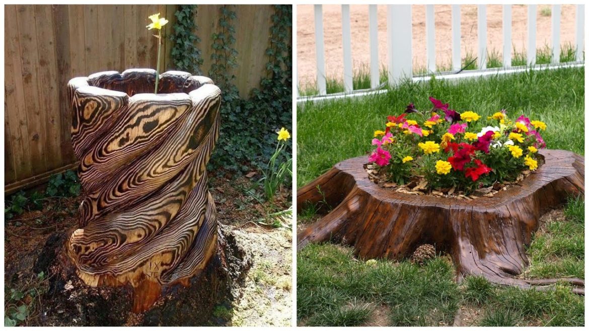 Garden and backyard ideas: examples of using old stumps in landscaping! Garden and backyard ideas: examples of using old stumps in landscaping!