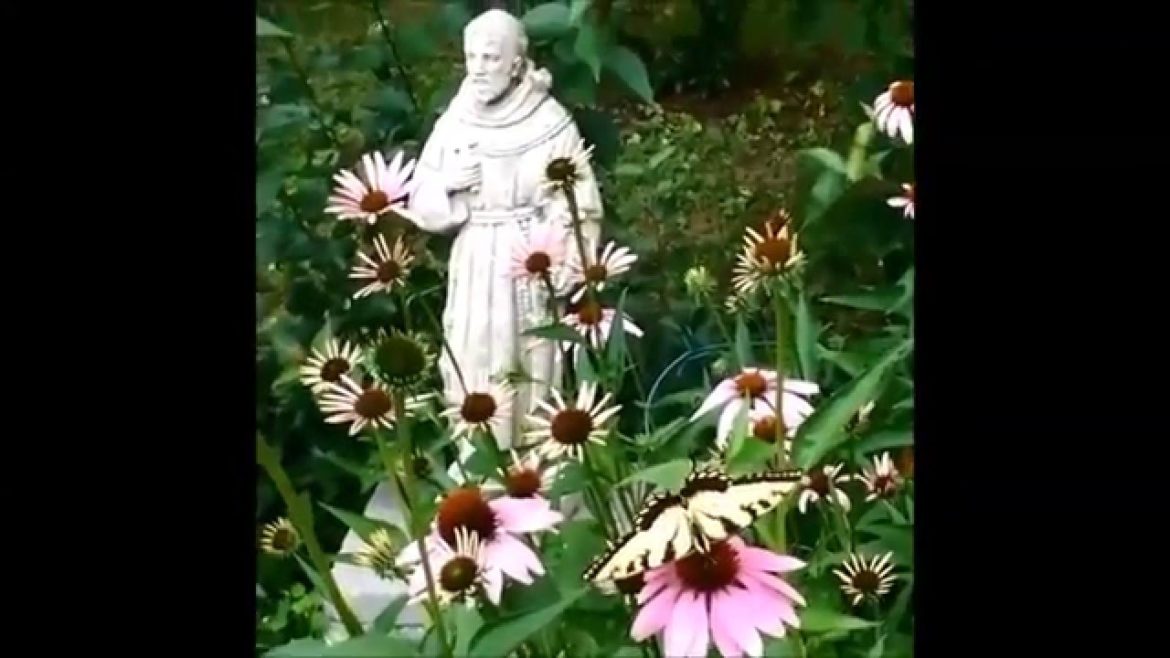 small backyard landscaping ideas