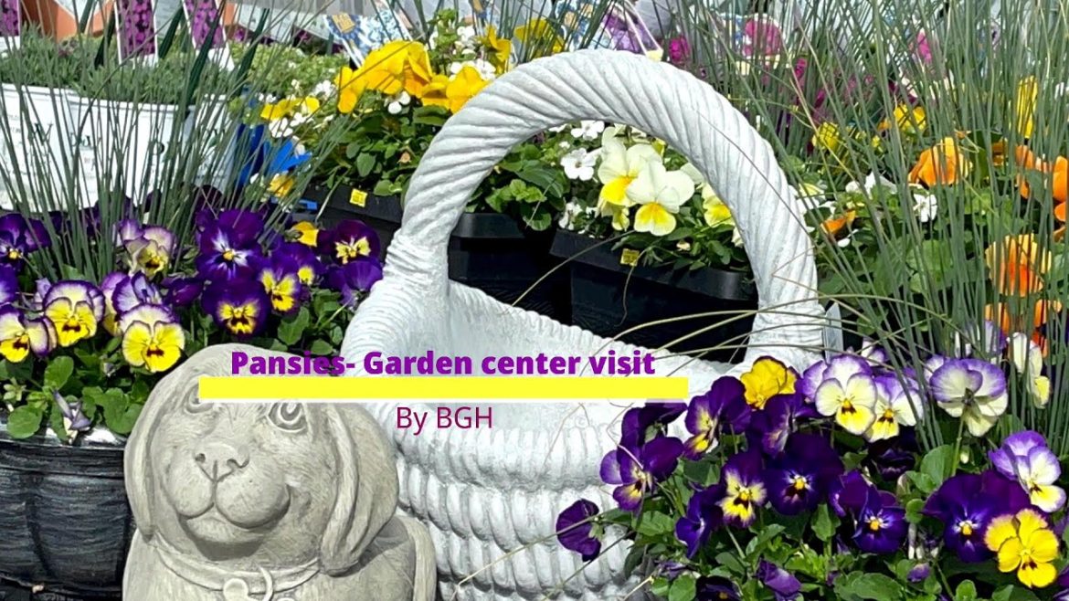Pansy Display| @ Coppola's Garden Center |Edison NJ | Backyard Garden Highlights