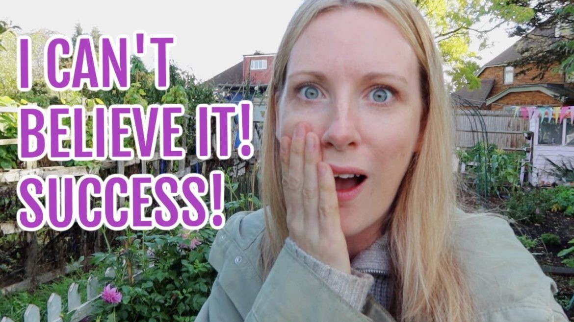 PLANTING SPRING BULBS AND GARLIC / OCTOBER ALLOTMENT GARDENING FOR BEGINNERS