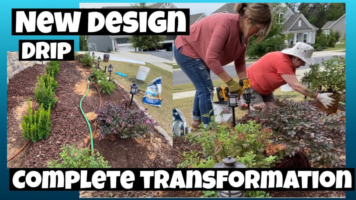 COMPLETE FRONT YARD LANDSCAPING TRANSFORMATION: WITH DRIP IRRIGATION INSTALLED: AMY AND JERRY'S HOME