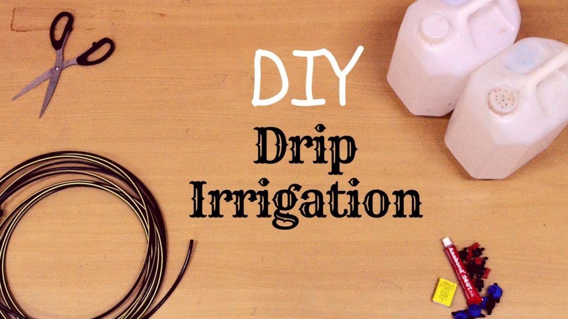 DIY Rs.40 Automatic Irrigation System for Home Garden