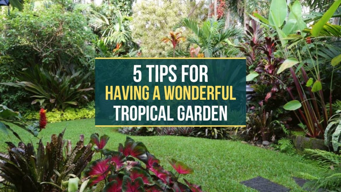 5 Tips For Having A Wonderful Tropical Garden π΄ Make Your Dream Tropical Garden a Reality β
 5 Tips For Having A Wonderful Tropical Garden π΄ Make Your Dream Tropical Garden a Reality β