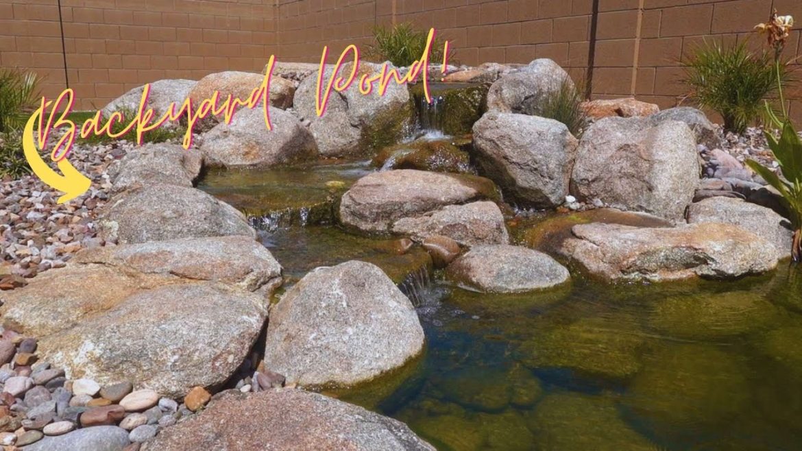 Spectacular Aquascape Ecosystem Pond in Arizona backyard. Spectacular Aquascape Ecosystem Pond in Arizona backyard.
