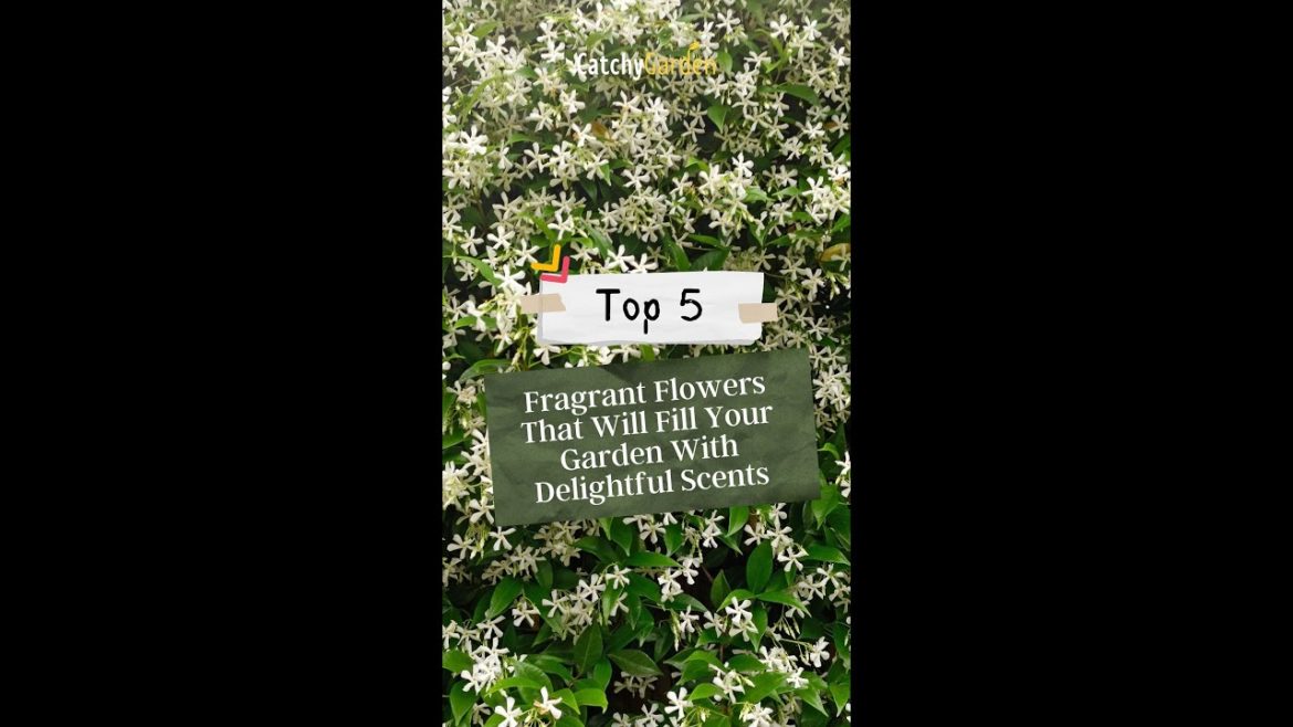 Top 5 Fragrant Flowers That Will Fill Your Garden With Delightful Scents 🌸🌹 // #short #shorts