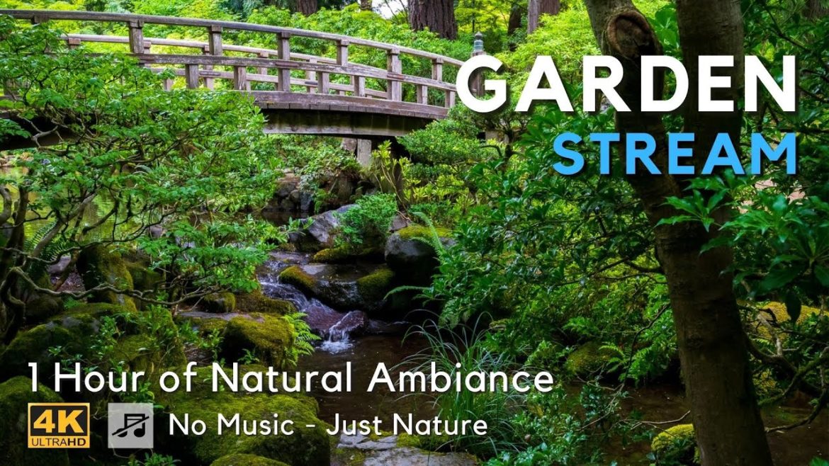4K Garden Stream - Portland Japanese Garden - 1 Hour Natural Ambiance - Virtual Window - No Music
