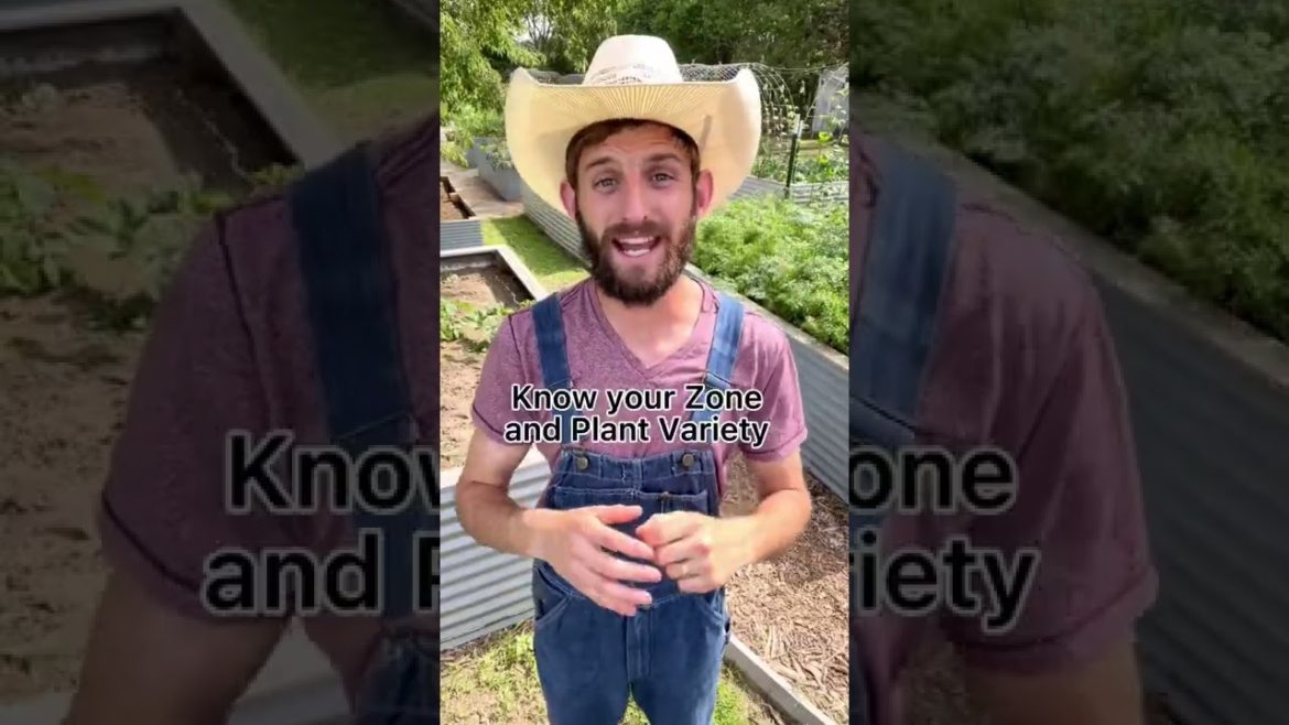 3 Garden Tips For Beginners🪴