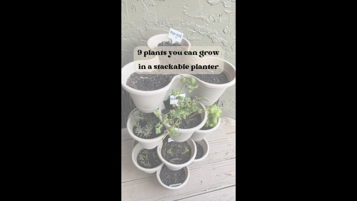 9 plants you can grow in a stackable planter for a beautiful vertical garden