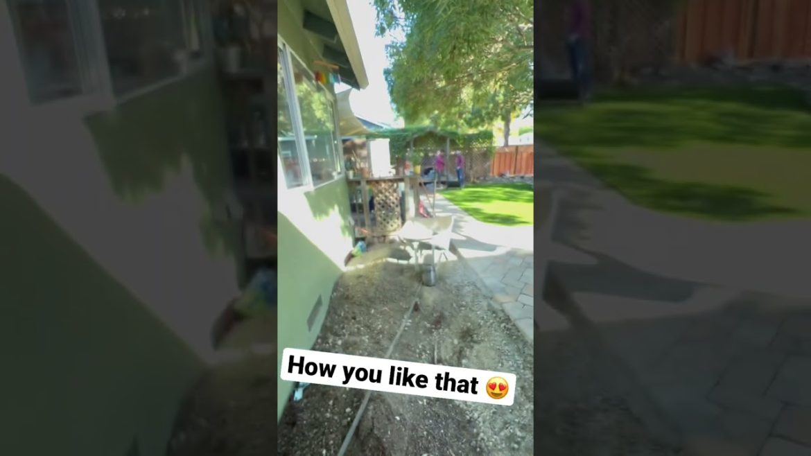 Unbelievable Backyard Landscape Progress 🤯
