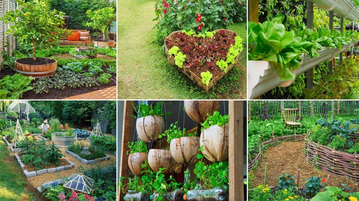 20 Beautiful Ornamental Vegetable Gardening Ideas