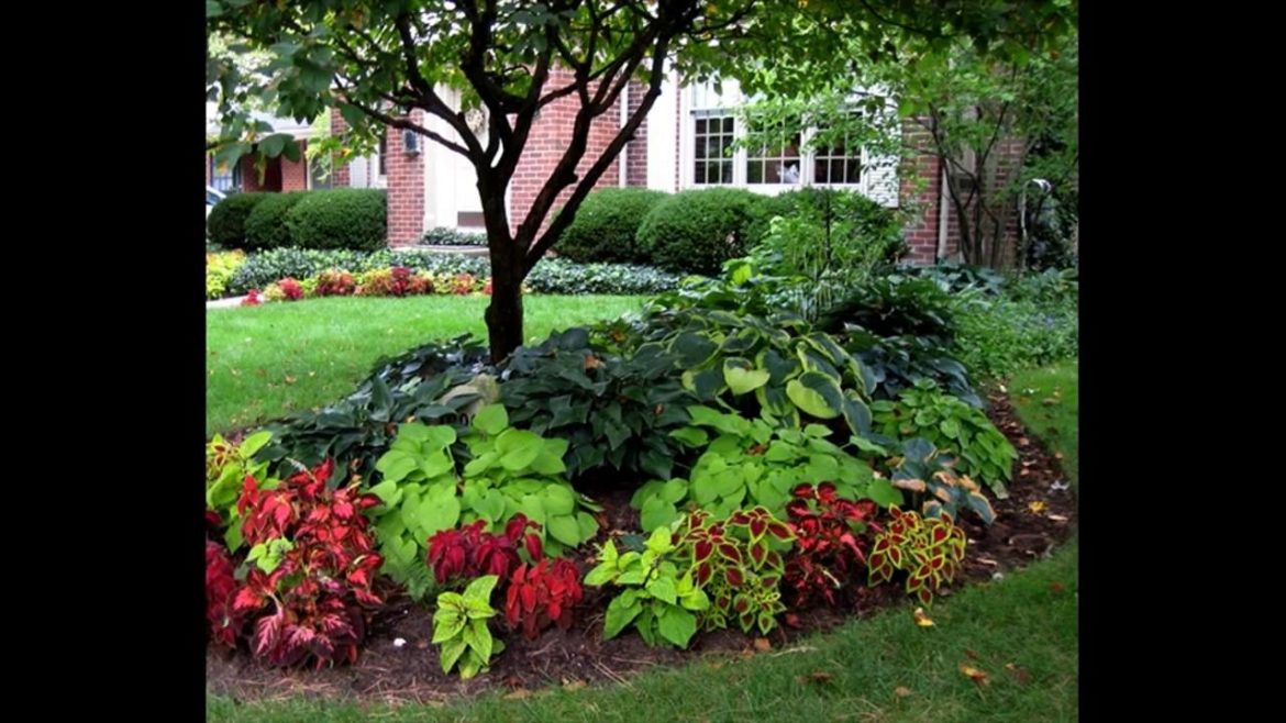 Cheap And Easy Backyard Landscaping Ideas