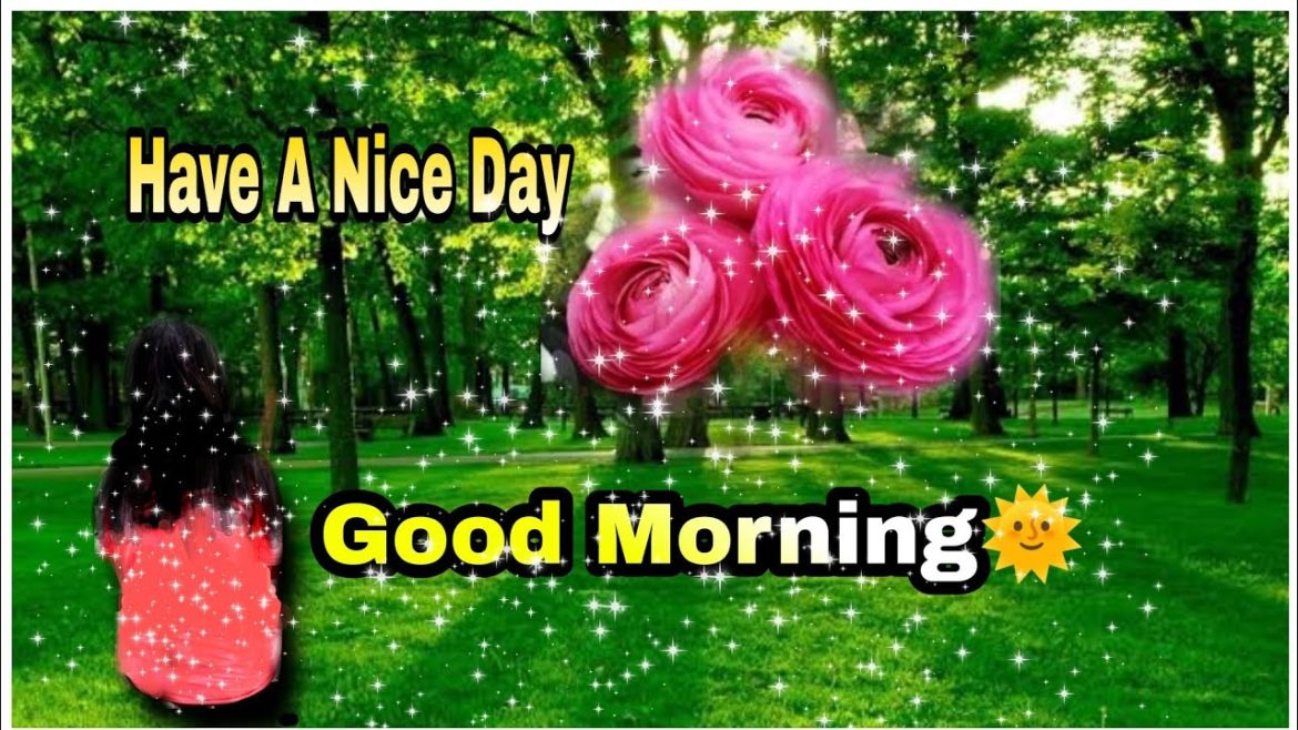 Love Nwantiti 🔥🔥 #shorts #short #youtubeshorts #ytshorts #viral #trending #2022 #nature #1million Love Nwantiti 🔥🔥 #shorts #short #youtubeshorts #ytshorts #viral #trending #2022 #nature #1million