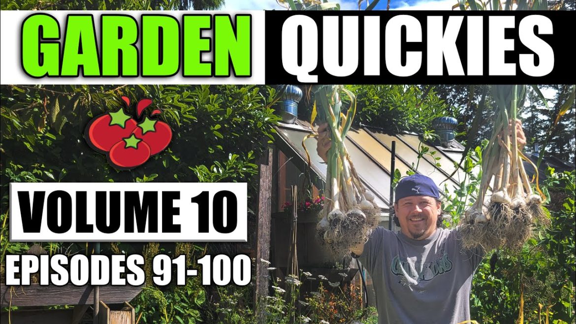 Garden Quickies Volume 10 – Episodes 91 to 100 Garden Quickies Volume 10 - Episodes 91 to 100