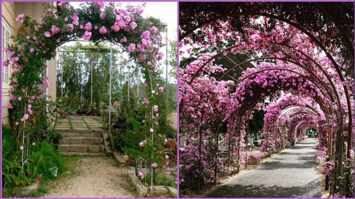 Modren and beautiful Arch design -garden design and ideas