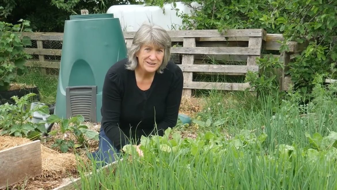 🔴 Gardeners' World 2022 | 'No Rules' Vegetable Gardening A Different Way of Growing Food ✨ 2022