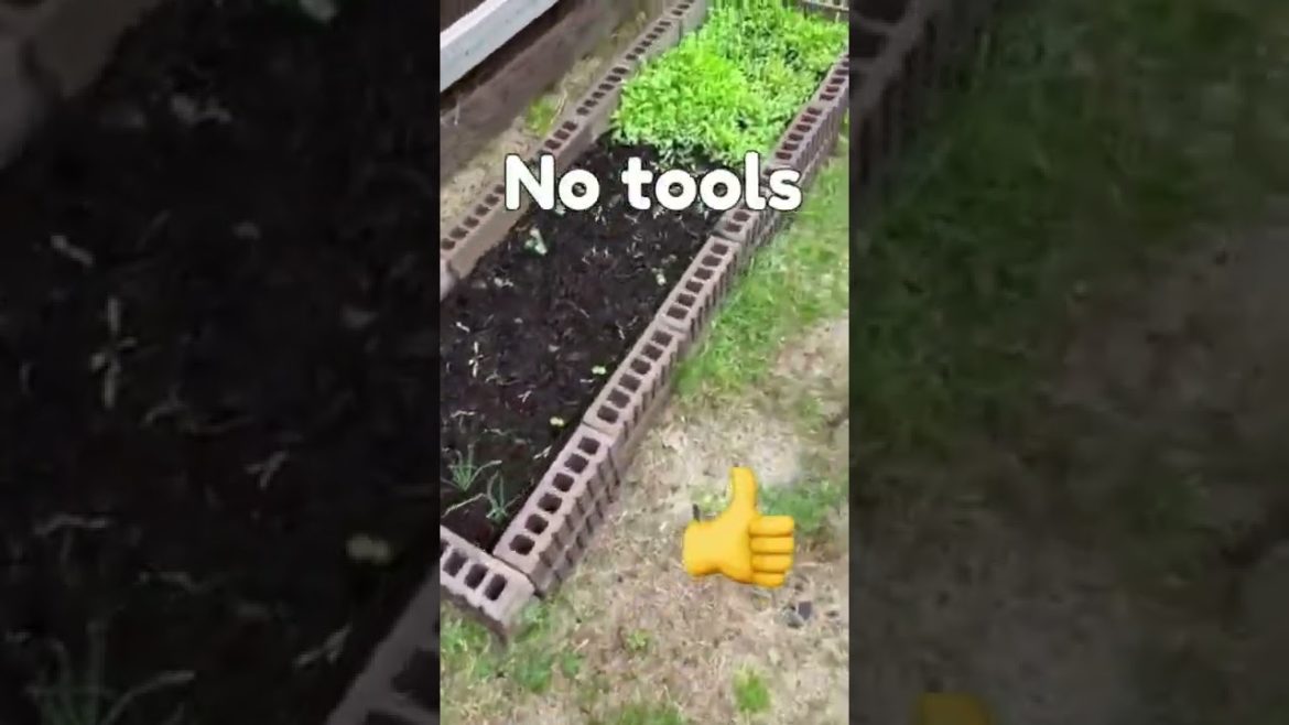 Gardening tips - Zero cost garden bed, No tools || Effortless planter bed #shorts #youtubeshorts