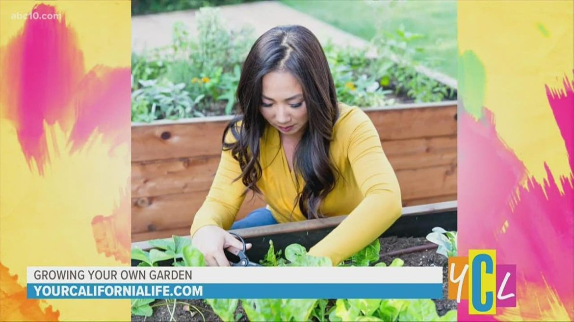 Start an edible garden
