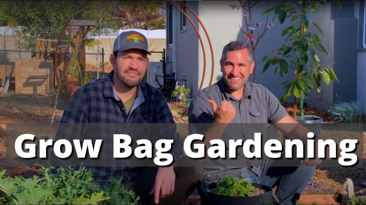 Grow Vegetables WITHOUT a Garden! | Grow Bag Gardening Vegetables W/ Kevin from Epic Gardening Grow Vegetables WITHOUT a Garden! | Grow Bag Gardening Vegetables W/ Kevin from Epic Gardening